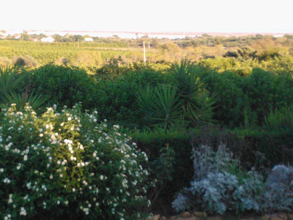Quinta Da Moura Casa-De-Campo ξενώνας Ταβίρα Εξωτερικό φωτογραφία