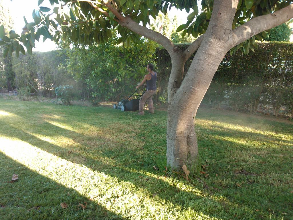 Quinta Da Moura Casa-De-Campo ξενώνας Ταβίρα Εξωτερικό φωτογραφία