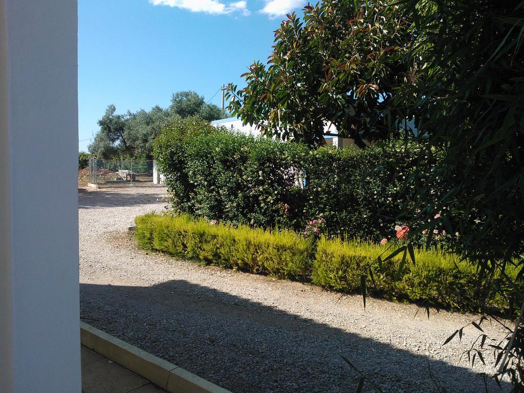 Quinta Da Moura Casa-De-Campo ξενώνας Ταβίρα Εξωτερικό φωτογραφία