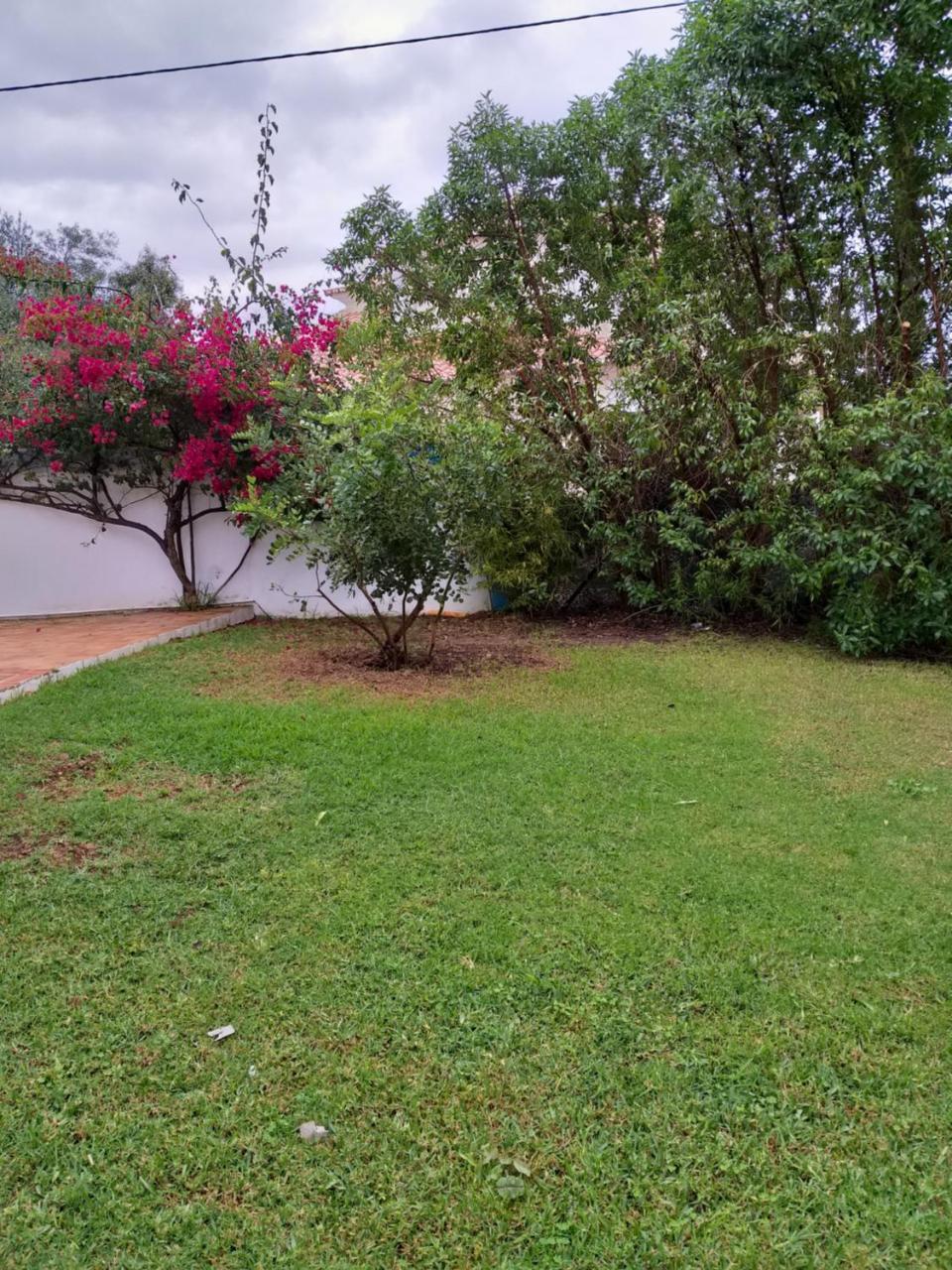 Quinta Da Moura Casa-De-Campo ξενώνας Ταβίρα Εξωτερικό φωτογραφία