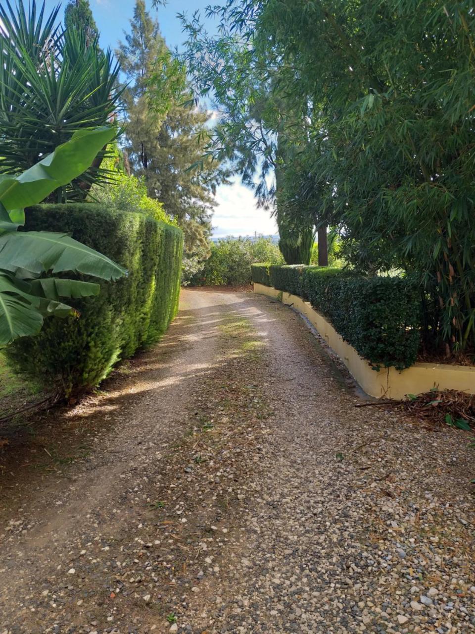 Quinta Da Moura Casa-De-Campo ξενώνας Ταβίρα Εξωτερικό φωτογραφία