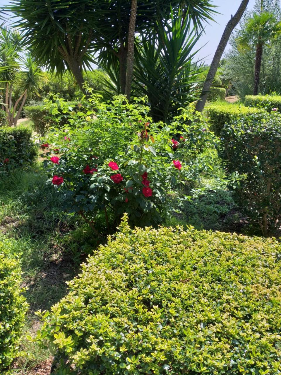Quinta Da Moura Casa-De-Campo ξενώνας Ταβίρα Εξωτερικό φωτογραφία
