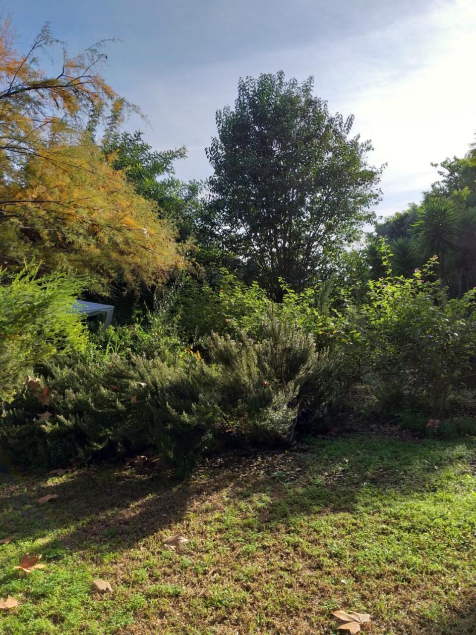 Quinta Da Moura Casa-De-Campo ξενώνας Ταβίρα Εξωτερικό φωτογραφία